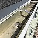 Gutter cleaners 23